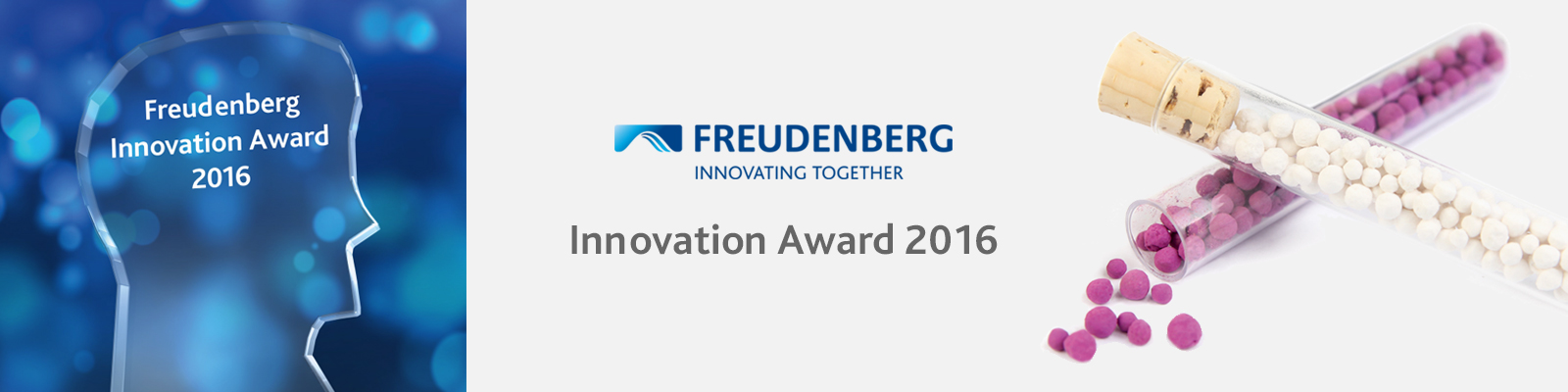Freudenberg Innovation Award GPF